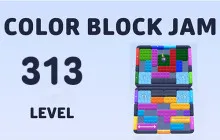 Color Block Jam Level 313 Tutorial Guide image