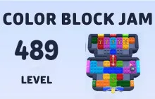 Color Block Jam Level 489 image