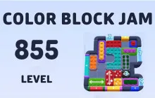 Color Block Jam Level 855 image