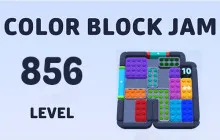 Color Block Jam Level 856 image